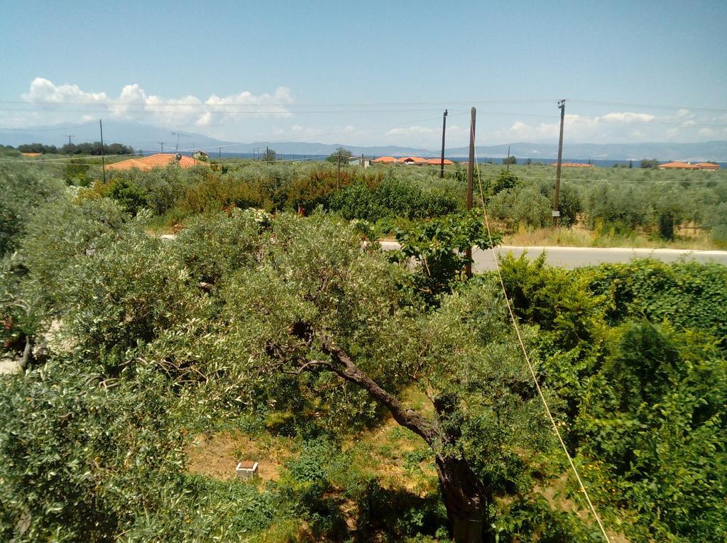 Villa Thomi Skala Rachoni  Exterior photo